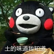 電動掃地機在農(nóng)村環(huán)衛(wèi)的重要性 電動掃地機在農(nóng)村環(huán)衛(wèi)的重要性
